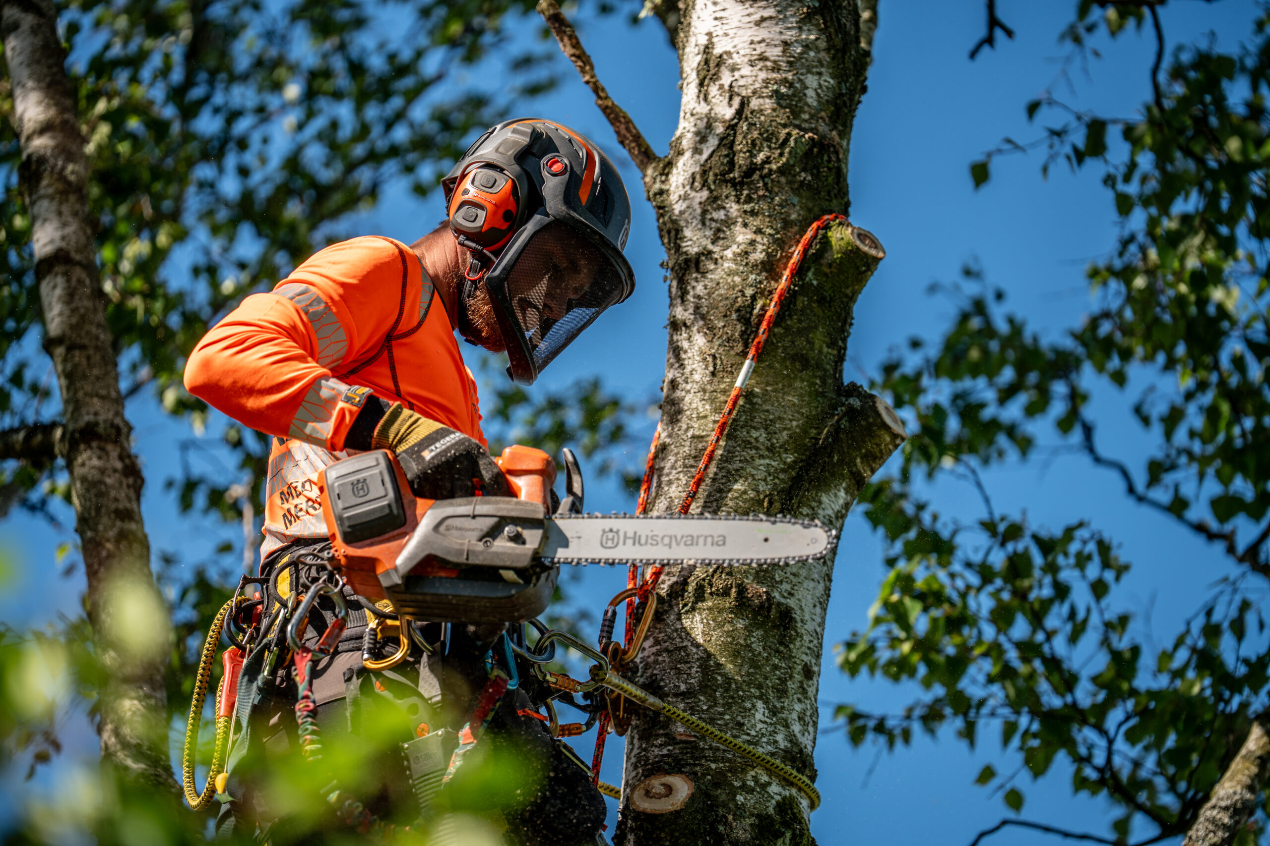 Arborist med hjälm och visir arbetar med motorsåg i trädkronan