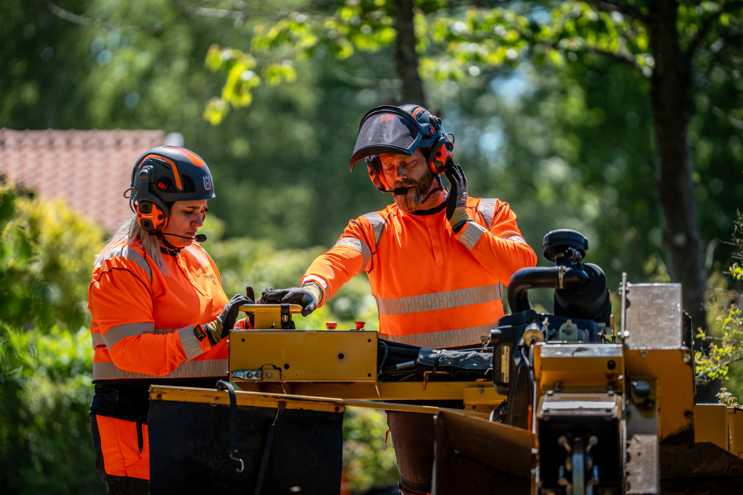Två arborister med hjälm och visir vid stubbfräsen