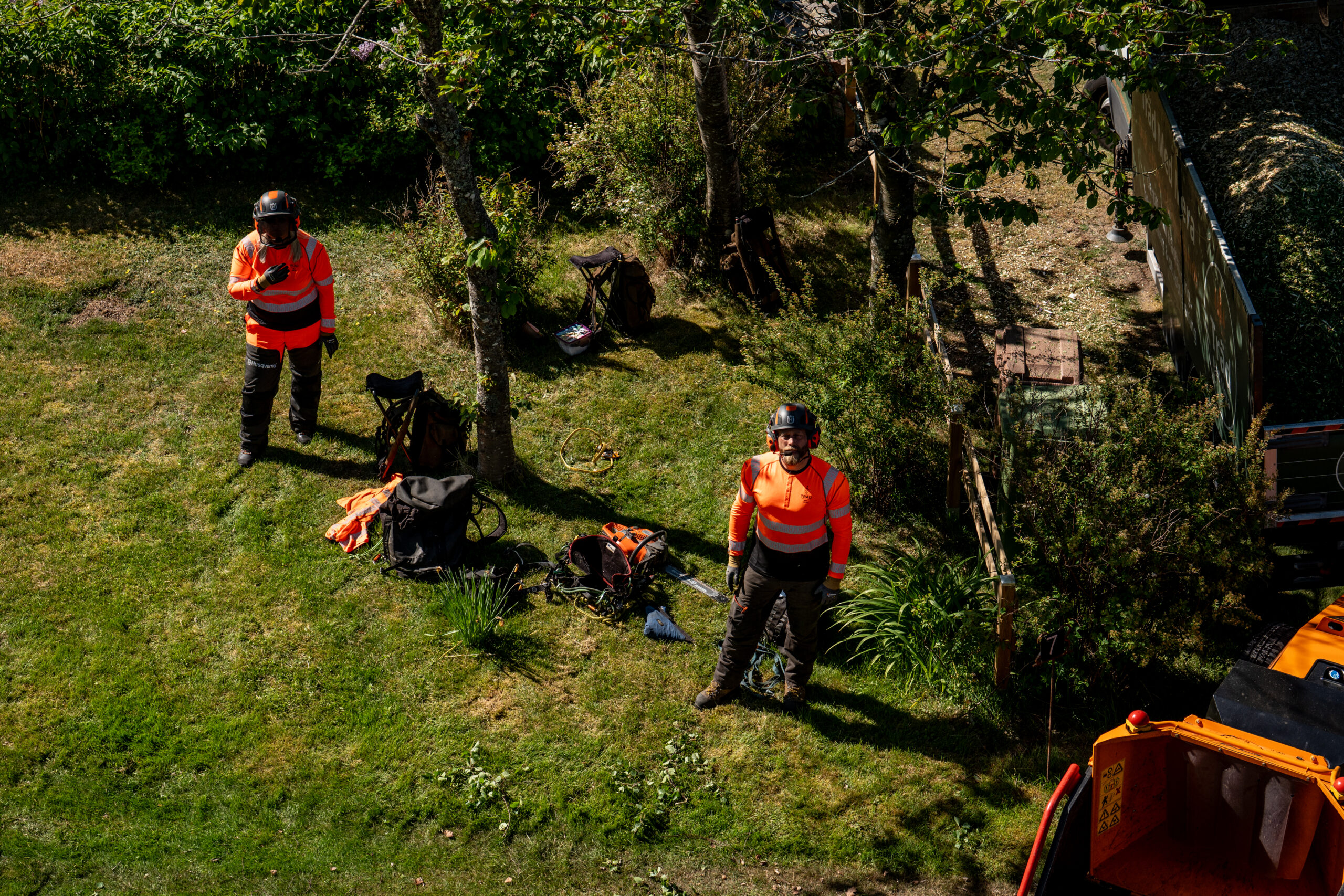 Två arborister i orange varselkläder på en gräsmatta bland träden, sedda ovanifrån