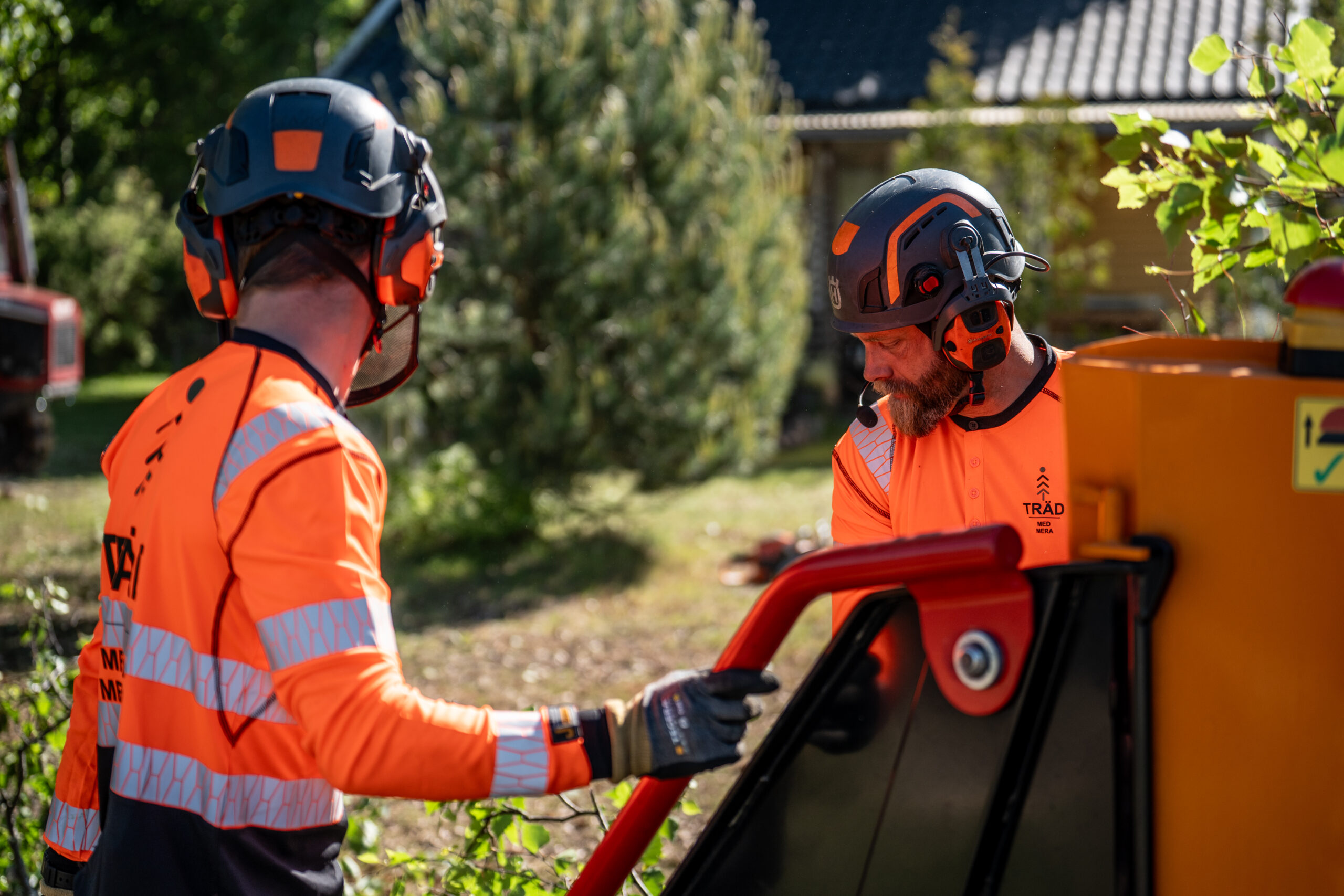 Två arborister med hjälm och hörselskydd vid en flishugg