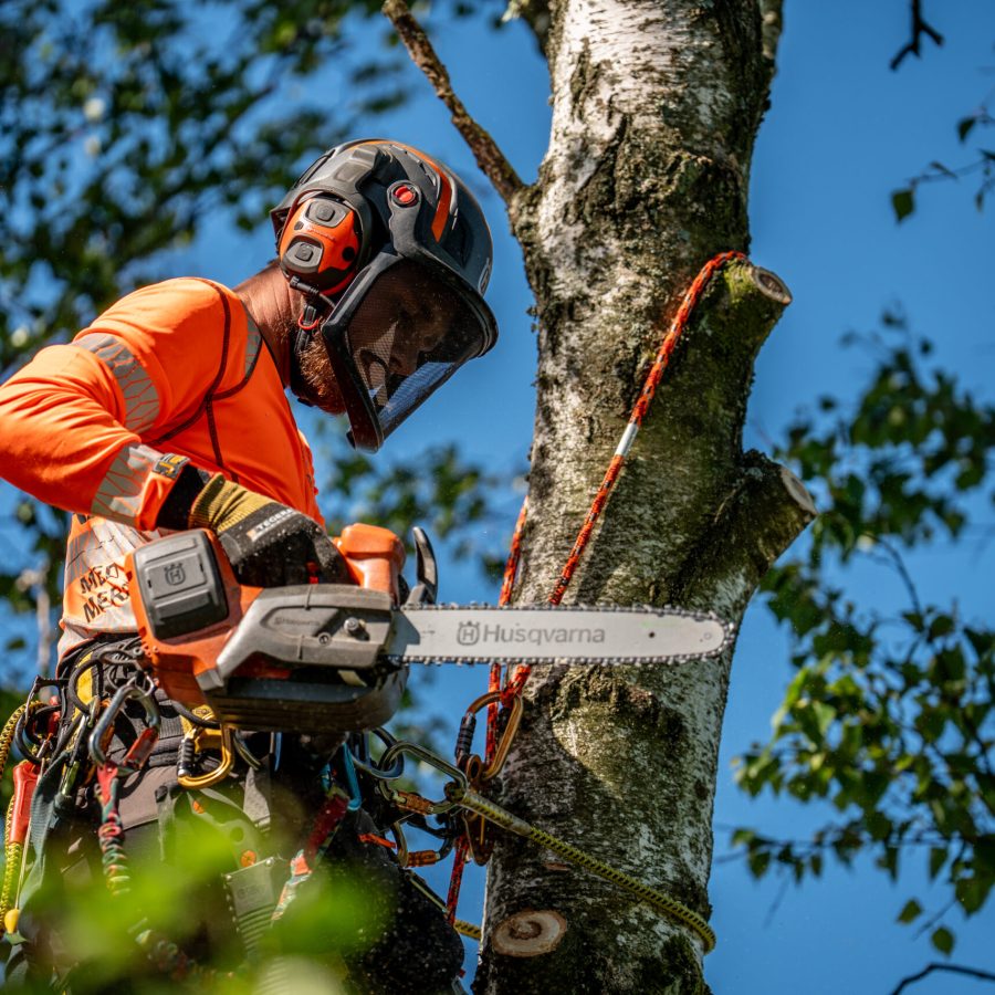 Arborist med hjälm och visir arbetar med motorsåg i trädkronan